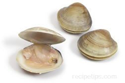 Count Neck Clams 10 for $5.99